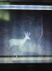 ImageUploadedByBowhunting.com Forums1469739502.335229.jpg