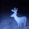 ImageUploadedByBowhunting.com Forums1469739561.431936.jpg
