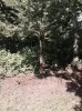 FullSizeRender-38.jpg