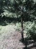 FullSizeRender-39.jpg