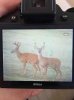 ImageUploadedByBowhunting.com Forums1470655493.062310.jpg
