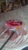 ImageUploadedByBowhunting.com Forums1470711439.458703.jpg