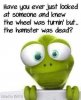 The%20Hampster%20is%20Dead.jpg