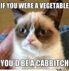 what-an-insult_o_1462337[1].jpg
