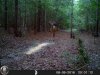 HUNT0005.jpg