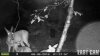 HUNT0101.jpg