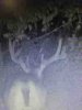 ImageUploadedByBowhunting.com Forums1471227931.937005.jpg