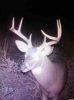 ImageUploadedByBowhunting.com Forums1471816532.724170.jpg