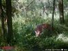 ImageUploadedByBowhunting.com Forums1471820004.687504.jpg