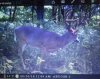 ImageUploadedByBowhunting.com Forums1471826891.893712.jpg