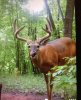 bucks7.jpg