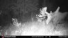 ImageUploadedByBowhunting.com Forums1472762351.873219.jpg