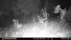 ImageUploadedByBowhunting.com Forums1472762369.206446.jpg