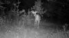 ImageUploadedByBowhunting.com Forums1472992116.886032.jpg