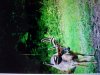 20160904_153644.jpg
