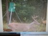 Game cam.jpg