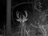 MDGC0101 (3).jpg