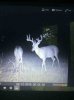 ImageUploadedByBowhunting.com Forums1473526883.425885.jpg