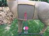ImageUploadedByBowhunting.com Forums1473818145.351023.jpg
