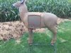 ImageUploadedByBowhunting.com Forums1473818164.657607.jpg