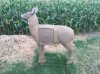 ImageUploadedByBowhunting.com Forums1473818191.619898.jpg