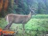 ImageUploadedByBowhunting.com Forums1473818370.709187.jpg
