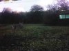 ImageUploadedByBowhunting.com Forums1473818617.459940.jpg