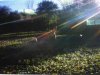ImageUploadedByBowhunting.com Forums1473818625.901073.jpg