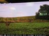ImageUploadedByBowhunting.com Forums1473818682.068868.jpg