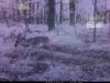 ImageUploadedByBowhunting.com Forums1473818701.126059.jpg