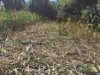 ImageUploadedByBowhunting.com Forums1473818715.784242.jpg