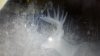 20160821_151716.jpg