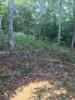 ImageUploadedByBowhunting.com Forums1474281043.620884.jpg