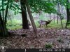 HUNT0242.jpg