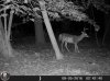 HUNT0197.jpg