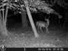 HUNT0196.jpg