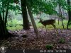 HUNT0174.jpg
