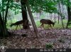 HUNT0228.jpg