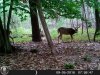 HUNT0230.jpg