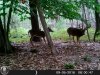 HUNT0234.jpg