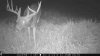 ImageUploadedByBowhunting.com Forums1474385818.840547.jpg