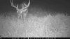 ImageUploadedByBowhunting.com Forums1474385828.798825.jpg