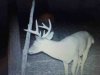 ImageUploadedByBowhunting.com Forums1474852829.836283.jpg