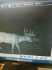 ImageUploadedByBowhunting.com Forums1474863761.929765.jpg