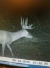 ImageUploadedByBowhunting.com Forums1474863775.800937.jpg