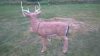 ImageUploadedByBowhunting.com Forums1474941019.785094.jpg