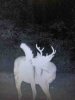 ImageUploadedByBowhunting.com Forums1475071235.662197.jpg