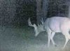 ImageUploadedByBowhunting.com Forums1475071253.809713.jpg