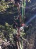 ImageUploadedByBowhunting.com Forums1475101266.018277.jpg