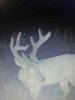 ImageUploadedByBowhunting.com Forums1475104876.610745.jpg